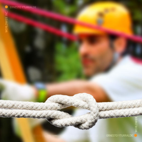 Talleres de Cuerdas Bajas para fortalecer el Trabajo en Equipo